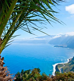 Madeira Islands